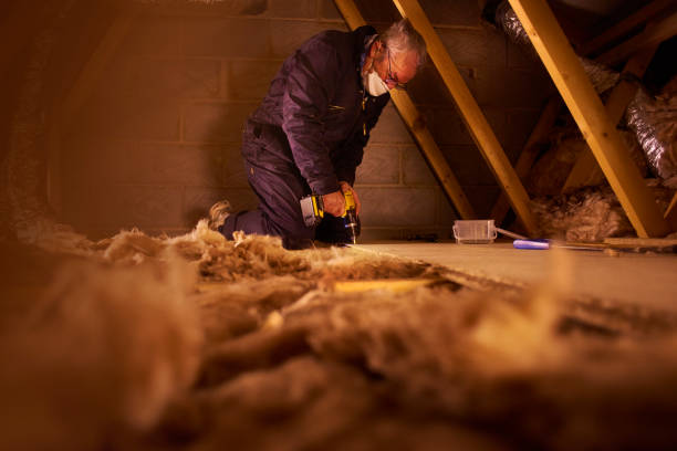 Eco-Friendly Insulation Solutions in Third Lake, IL